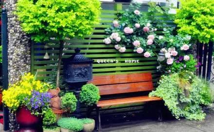 Ngôi nhà nhỏ nằm ở góc phố bình yên trong thành phố lớn khiến ai đi qua cũng phải dừng lại để ngắm nhìn-11