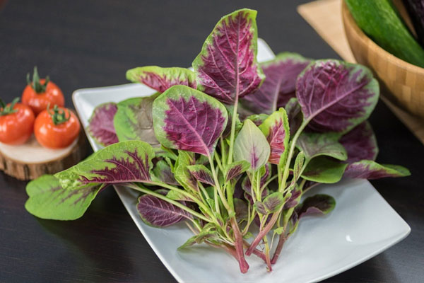 Bi hài người đàn ông hồ hởi đi hiến tinh trùng rồi lập tức bỏ về vì lý do này-2