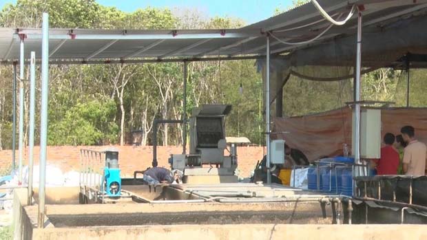 Thương tâm: 3 người tử vong trong trại heo ở Đồng Nai-2