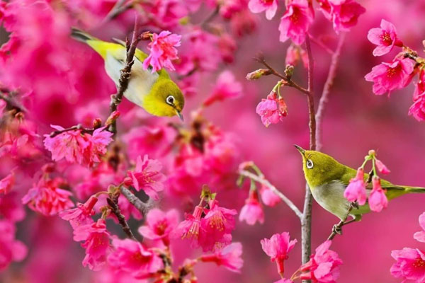 Bước sang tháng 4, 3 con giáp này mở ra thời kỳ hoàng kim, tài chính dồi dào, công việc thuận lợi-4