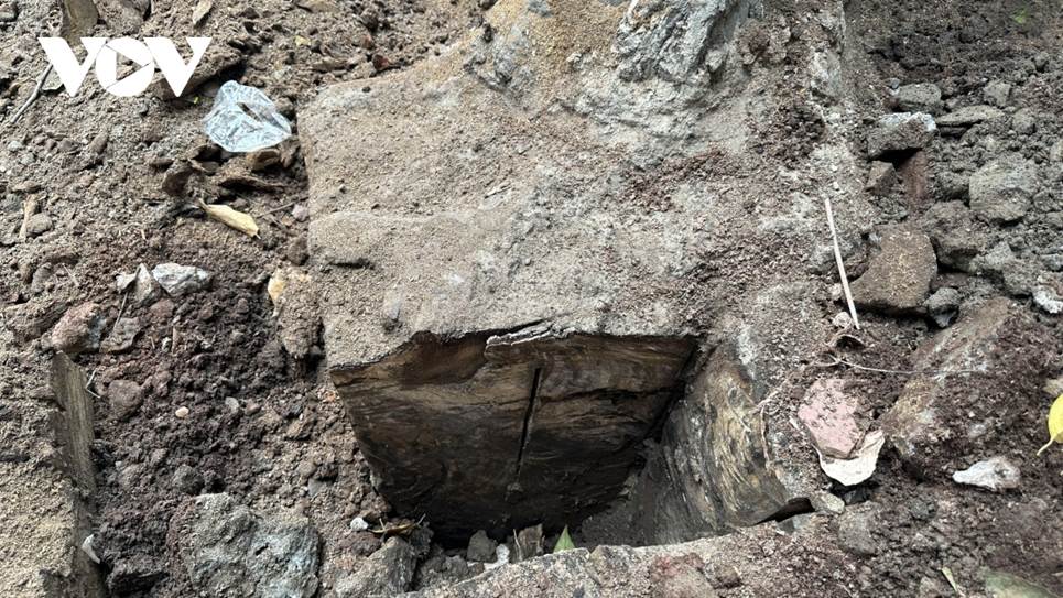 Người dân bức xúc khi cây sao đen trăm tuổi trên phố Lò Đúc bất ngờ bị đốn hạ-7