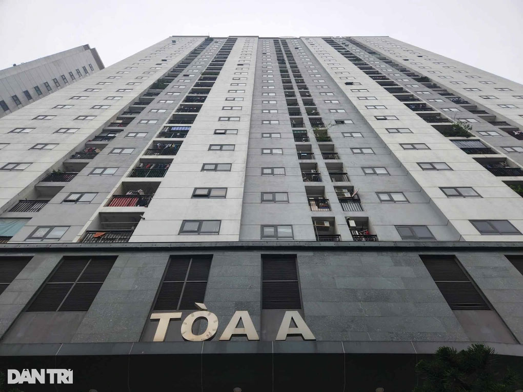 Môi giới đeo bám chủ căn hộ, trả giá cao hơn theo tuần-2