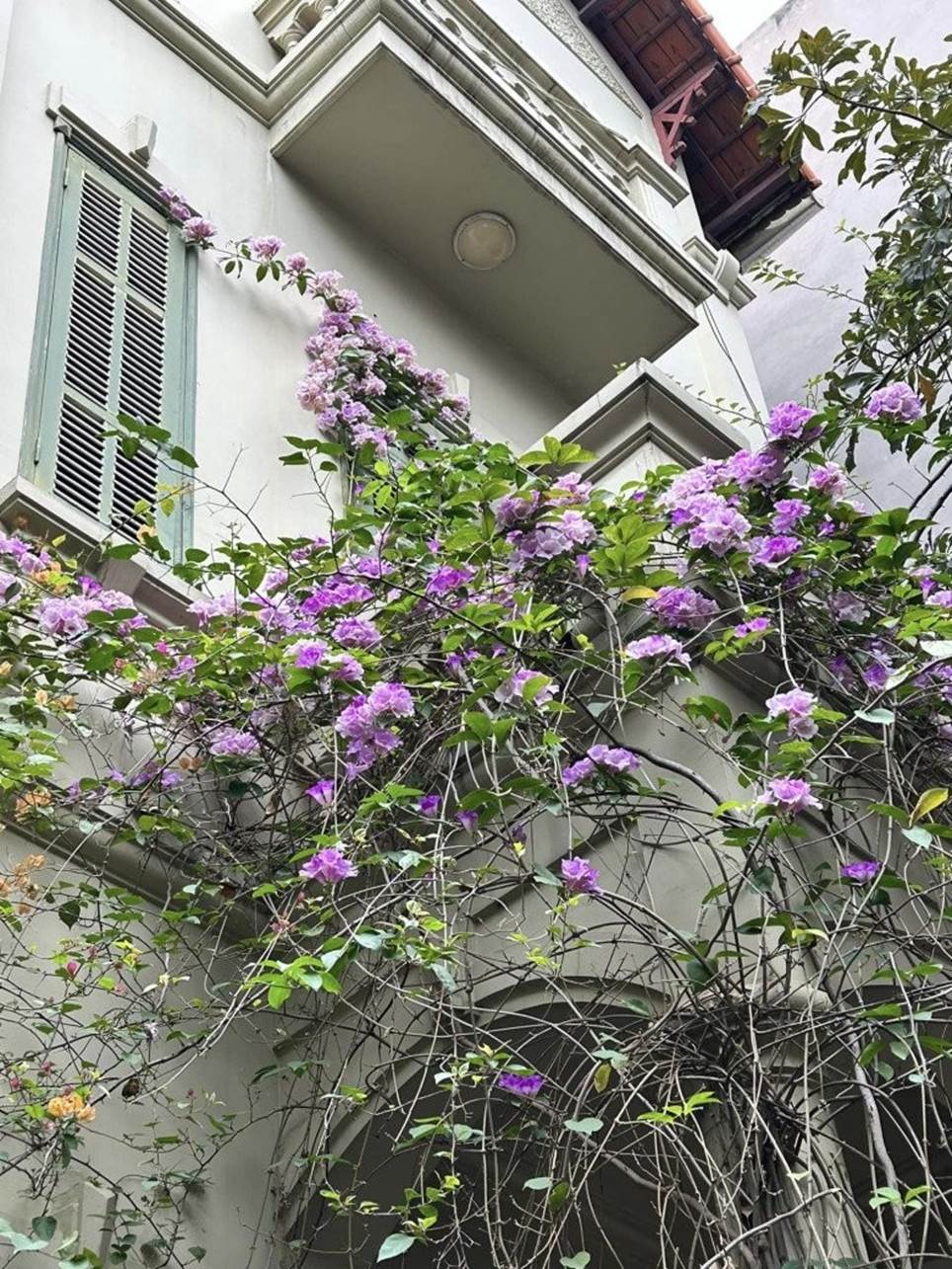 Căn biệt thự đẹp hơn cả tạp chí của NTK đứng sau những trang phục đặc biệt của Bắc Đẩu và Táo Quân-6