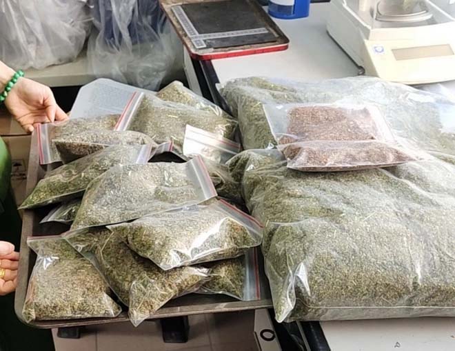 Bắt nhóm đối tượng bán cỏ Mỹ ở vùng ven phố biển Nha Trang-2