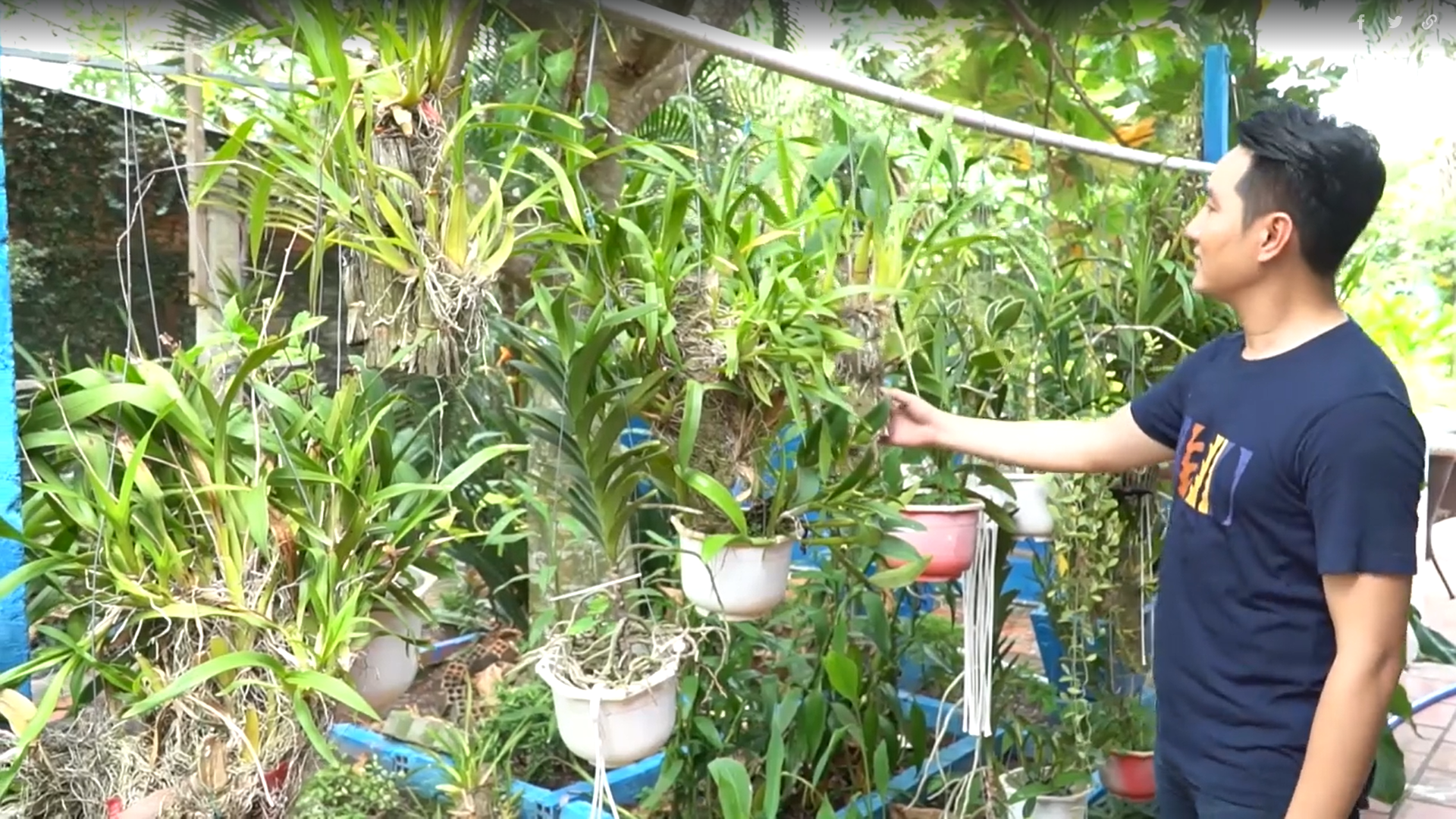 Nam ca sĩ Việt U50: Đẹp trai, sống chân thành, chưa vợ con, có biệt thự vườn 3.000 m2 tràn ngập cây xanh-4