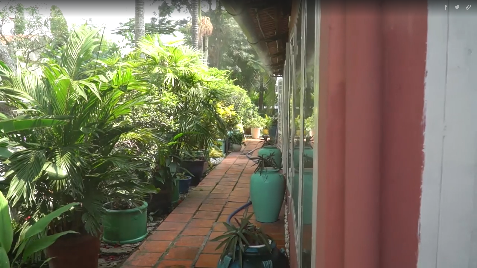 Nam ca sĩ Việt U50: Đẹp trai, sống chân thành, chưa vợ con, có biệt thự vườn 3.000 m2 tràn ngập cây xanh-8