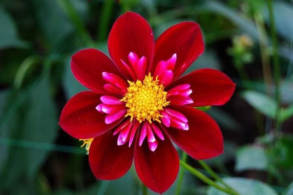 Sau Rằm tháng 2 Âm lịch, 3 con giáp không ngại gian khổ, nỗ lực làm việc, tích lũy bộn tiền-1