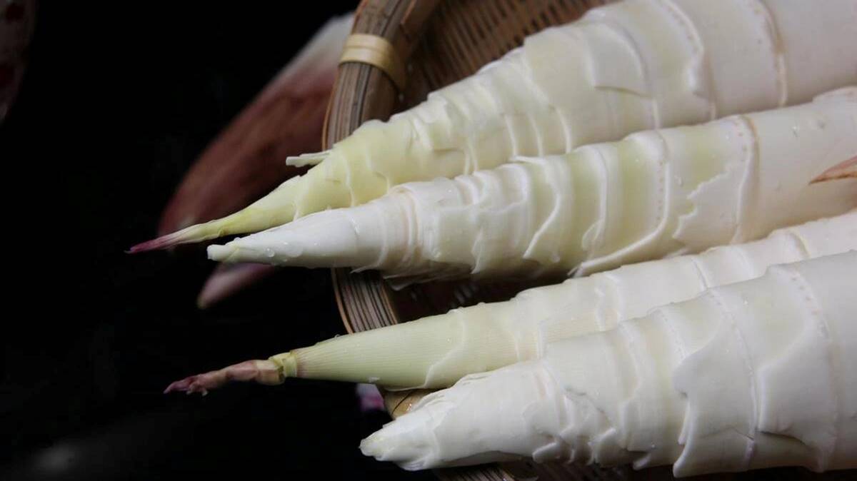 Loại rau tươi mát, ngon miệng, không nên ăn nhiều, nấu canh gà cực thơm-5