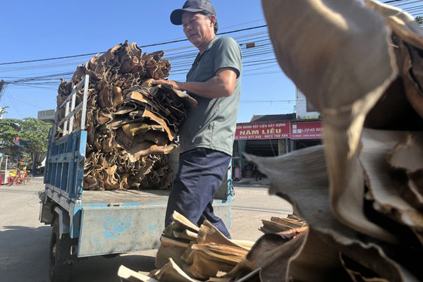 Bọ hung được thương lái thu mua với giá lên đến 900.000 đồng/kg-3