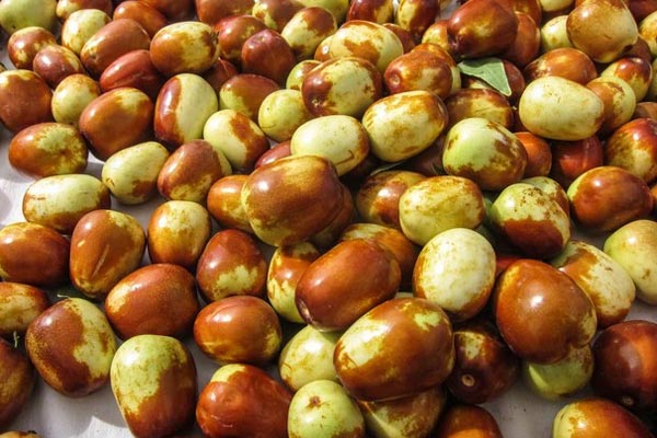 Danh sách 12 loại rau quả dễ nhiễm thuốc trừ sâu nhất-1