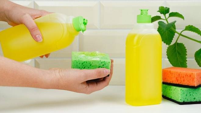 Cách đuổi muỗi hiệu quả bằng những nguyên liệu tự nhiên-5