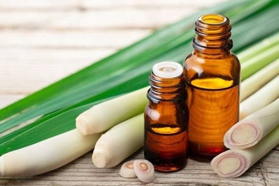 Cách đuổi muỗi hiệu quả bằng những nguyên liệu tự nhiên