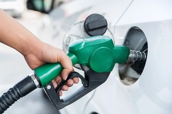 Dâu tây đứng số 1 về tồn dư thuốc trừ sâu tại Mỹ, chuyên gia Việt chỉ cách chọn và dùng dâu tây an toàn-4