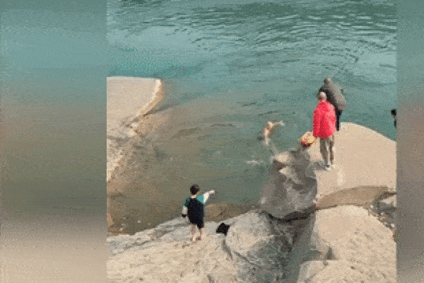 Clip: 2 ô tô đâm nhau giữa ngã tư, cụ ông đi bộ thoát chết khó tin-1