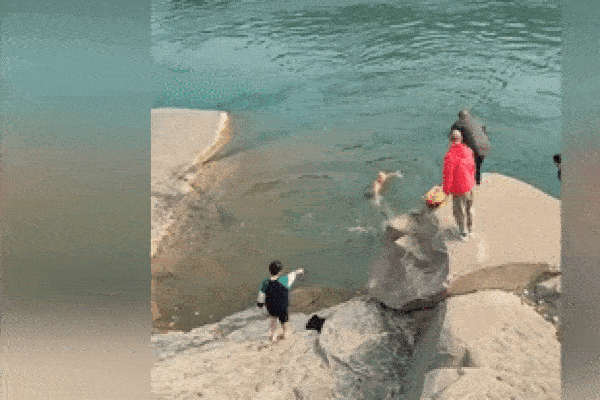 Khoảnh khắc người đàn ông lặn xuống sông cứu bé trai thoát chết đuối