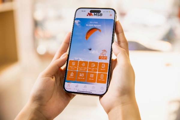 Bắt nữ giám đốc Ngân hàng MSB Thanh Xuân lừa đảo 338 tỉ đồng-2