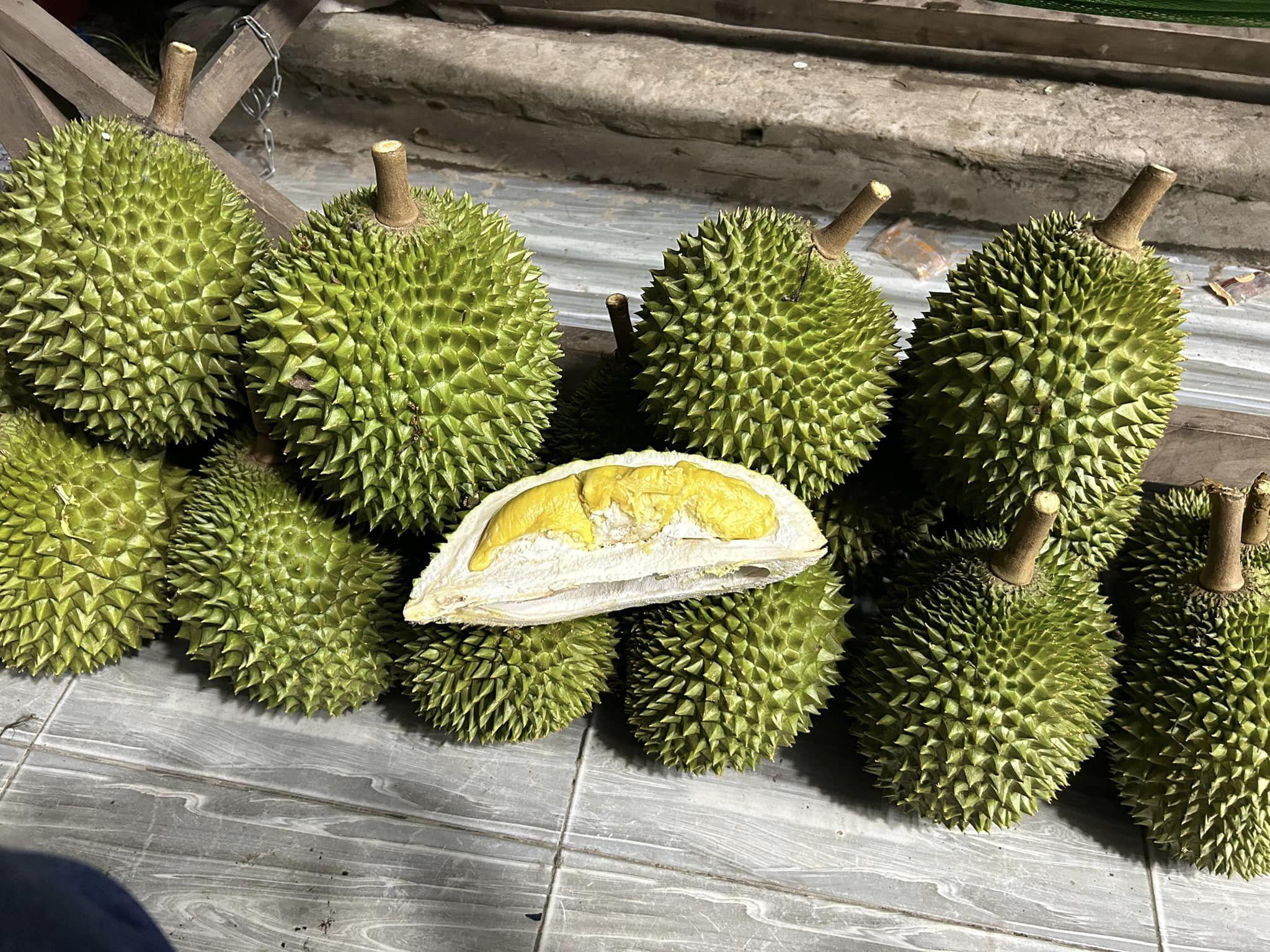 Có loại sầu riêng trồng ở nước ta trước giá hơn 2 triệu/quả, nay giảm một nửa-1