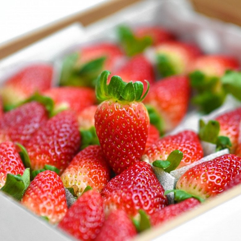 Dâu tây đứng số 1 về tồn dư thuốc trừ sâu tại Mỹ, chuyên gia Việt chỉ cách chọn và dùng dâu tây an toàn-1