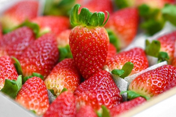 8 thiết bị ngốn điện theo cách có thể bạn không ngờ: EVN gợi ý mẹo nhỏ để giảm tiền điện mùa nắng nóng-3