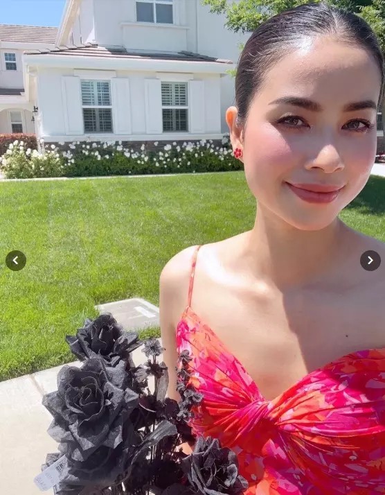 Biệt thự của sao Việt tại Mỹ: Nhà Lệ Quyên, Đàm Vĩnh Hưng nhìn bên ngoài đã thấy hoàng tráng-9