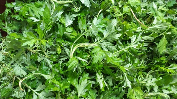 Trước Tết Thanh minh, ăn mạnh loại rau này, bổ dương, dưỡng khí huyết, tiêu ẩm, làm bánh cực ngon-4