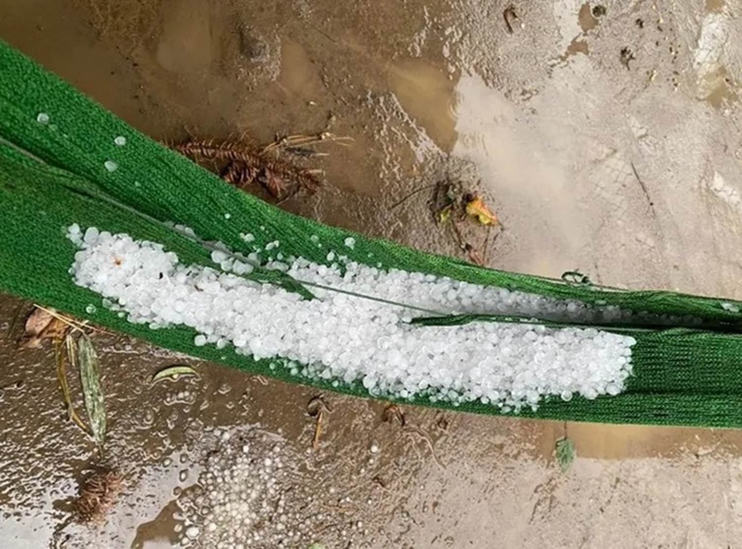 Mưa đá kèm dông lốc bất ngờ xuất hiện ở Yên Bái-4