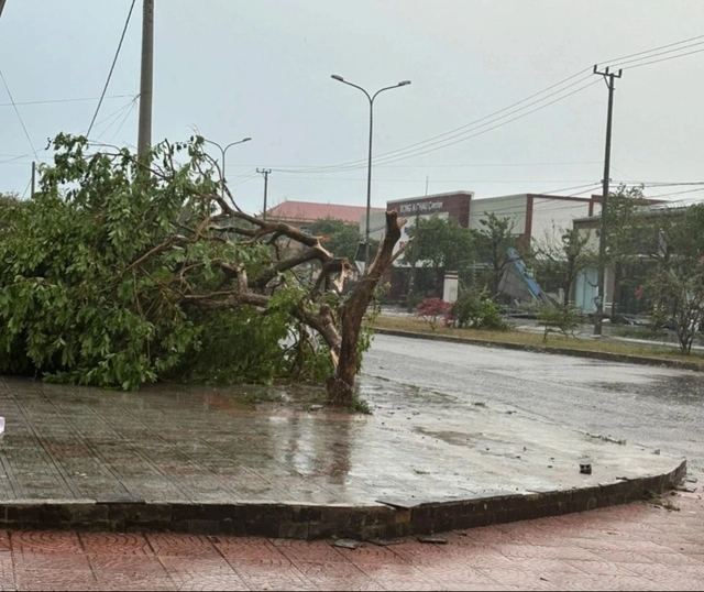 Lốc xoáy ở Quảng Trị giật bay hàng chục mái nhà-2