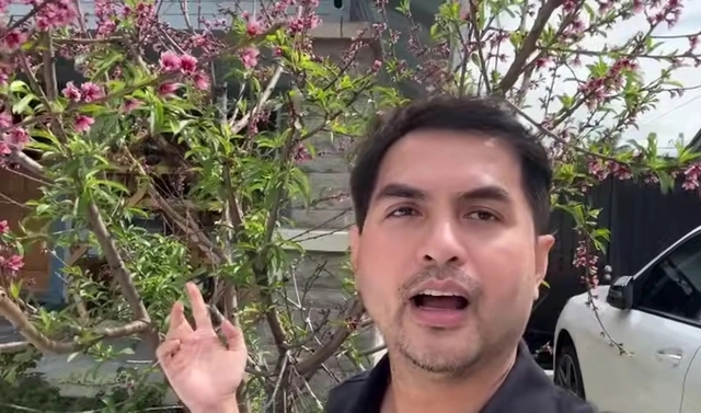 Người mẫu Đức Tiến khoe vườn nhà tại Mỹ: Tôi có cả mai lẫn đào mà không được 500 tỷ như Trấn Thành-2