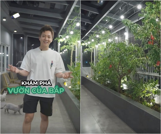 Khu vườn trên cao tại penthouse 22 tỷ của Ngô Kiến Huy xanh mướt, trồng đủ thứ ăn được-1