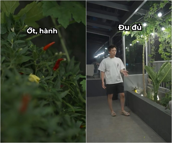 Khu vườn trên cao tại penthouse 22 tỷ của Ngô Kiến Huy xanh mướt, trồng đủ thứ ăn được-3