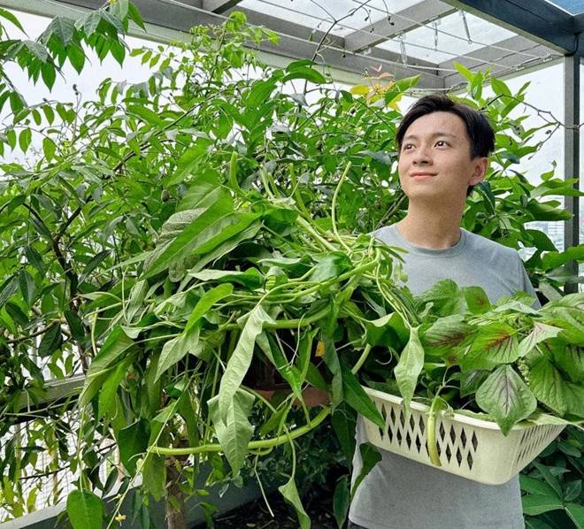 Khu vườn trên cao tại penthouse 22 tỷ của Ngô Kiến Huy xanh mướt, trồng đủ thứ ăn được-6