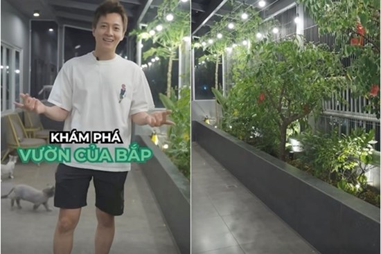 Khu vườn trên cao tại penthouse 22 tỷ của Ngô Kiến Huy xanh mướt, trồng đủ thứ ăn được