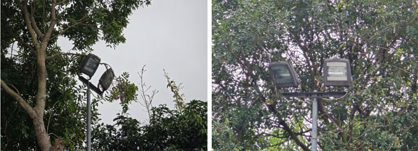 Cận cảnh khu vực nam sinh lớp 8 bị đánh chết não: Sân bóng rổ không có camera an ninh-4