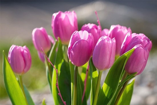 15 ngày tới, 3 con giáp đón sóng tài lộc, may mắn bất ngờ, tiền bạc chảy ào ào vào túi