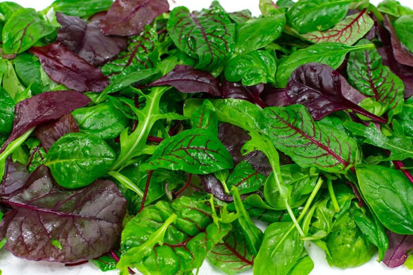 Những thực phẩm tuyệt đối không ăn chung với trứng vịt lộn kẻo ngộ độc-3