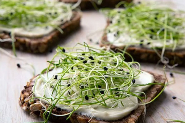 Lưu ý những điều này khi ăn giá đỗ để tránh rước họa vào thân-1