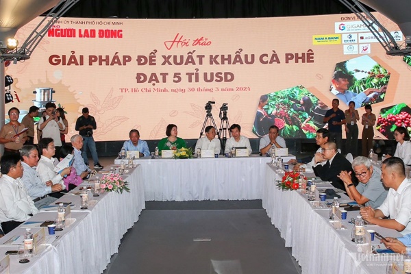 Giá cà phê trong nước tăng kỷ lục vì bị ‘kích giá’ như bất động sản-1