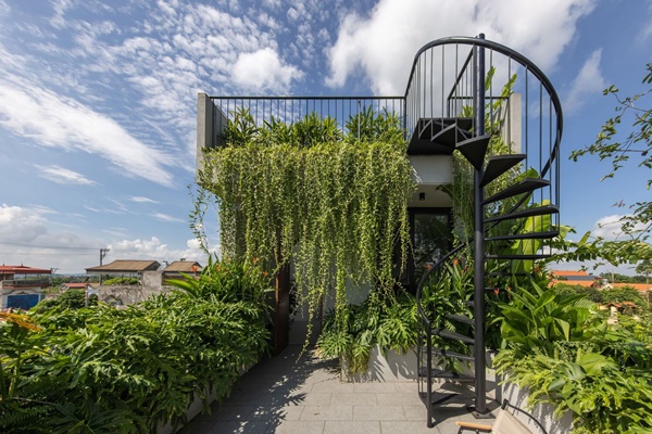 Nhà ống ở phố vẫn đầy đủ cây xanh, ánh sáng như khu vườn nhiệt đới-11