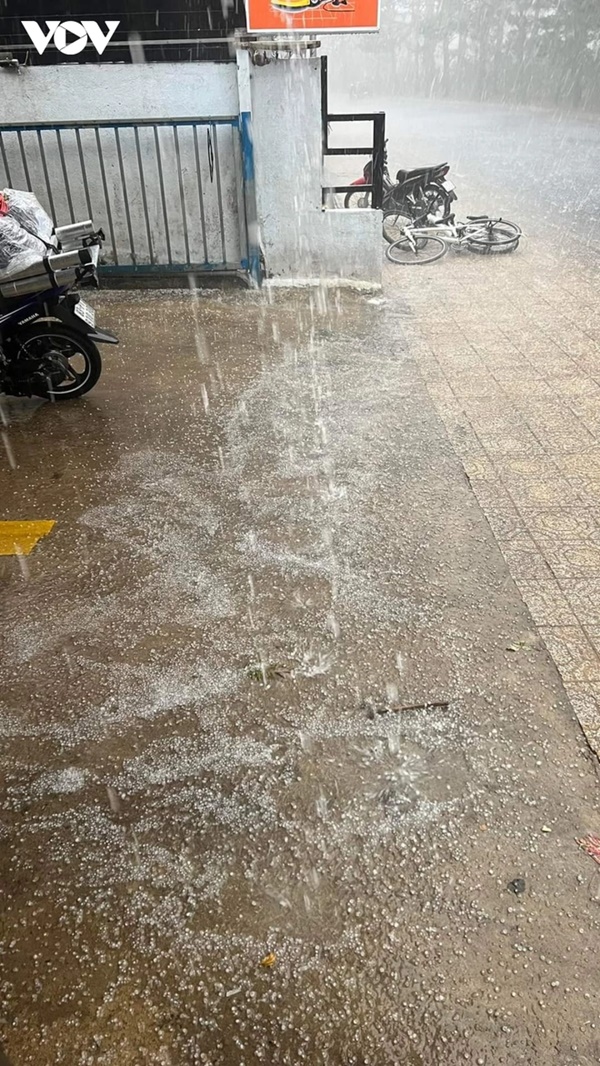 Đà Lạt xảy ra mưa đá kéo dài gần một tiếng đồng hồ-2