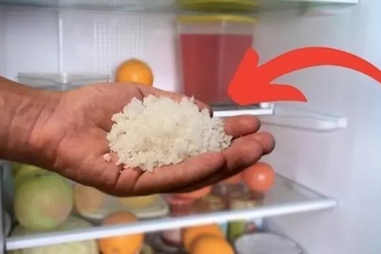 Đặt bát muối trong tủ lạnh có công dụng gì?