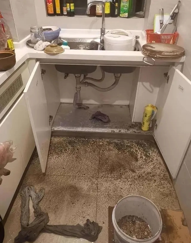 Mua nhà lần nữa không được chọn tầng thấp, đây không phải là khoe khoang mà là kinh nghiệm của những người đã từng sống ở đó-3