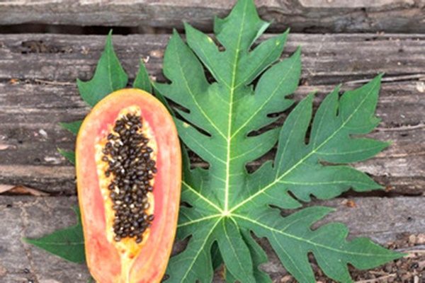 BS Harvard điều trị cho bệnh nhân ung thư mỗi ngày chỉ ra 6 dấu hiệu phổ biến nhất nhưng dễ bị bỏ qua-4