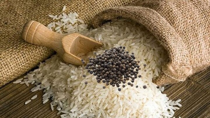 Cho một nắm hạt tiêu vào thùng gạo có công dụng gì?-1