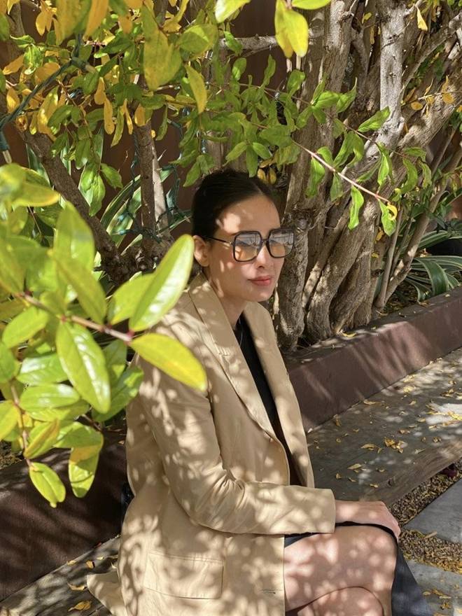 Nhà của Hoa hậu Dương Mỹ Linh ở Mỹ: Vườn đẹp như quán cà phê, trước cửa có loài hoa rực rỡ-13