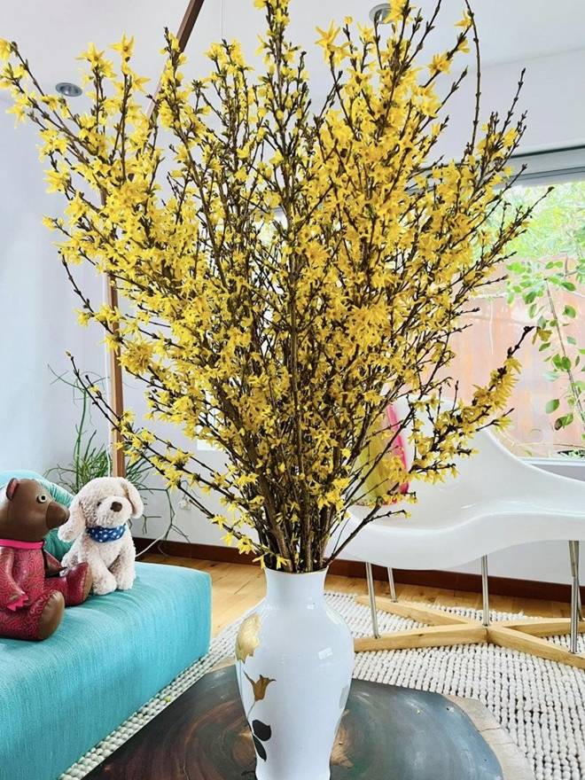 Nhà của Hoa hậu Dương Mỹ Linh ở Mỹ: Vườn đẹp như quán cà phê, trước cửa có loài hoa rực rỡ-21