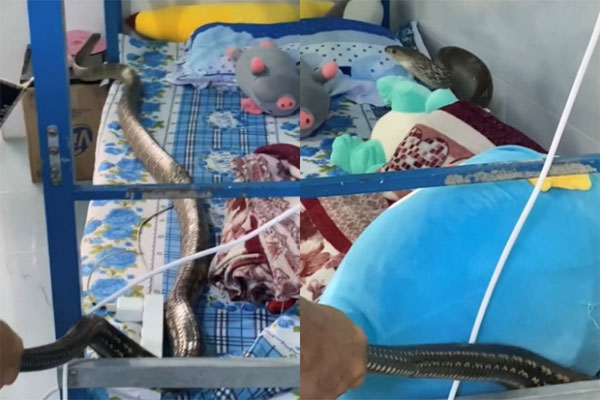 Vụ cháy ở quận 8: Nhà cửa cháy rụi, người dân chở nhau tìm nơi ngủ nhờ qua đêm-9