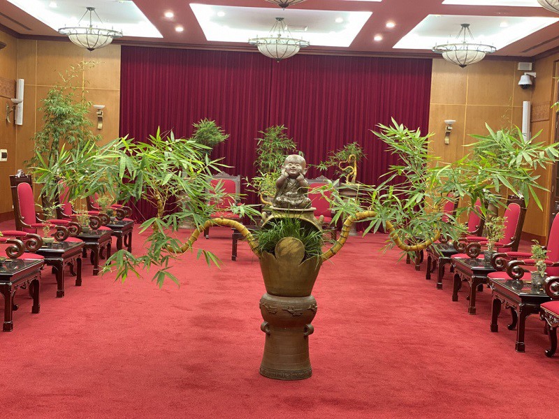 Chậu tre bonsai độc nhất vô nhị”, vì sao trả bao nhiêu tiền chủ nhân cũng không bán?-1