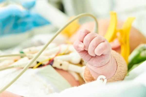 Uống nước mật ong pha với bột sắn dây có gây ngộ độc?-1