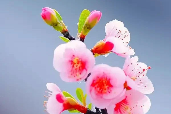 Nếu không yêu nghiêm túc, đừng dại chọc vào 3 cung hoàng đạo này, bởi trong họ luôn có lửa hận thù không dễ gì dập tắt được-4