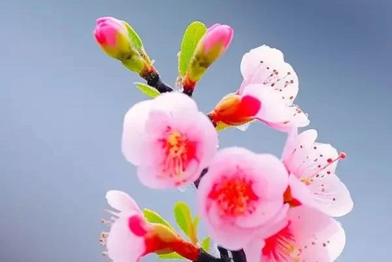 Thời gian tốt đẹp không còn xa, 4 con giáp đón hạnh phúc, giàu sang trong 3 năm tới